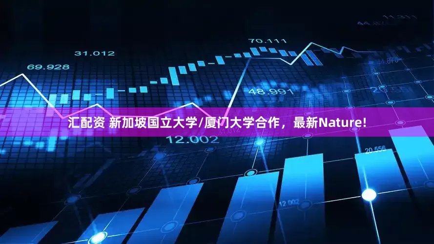 汇配资 新加坡国立大学/厦门大学合作，最新Nature!
