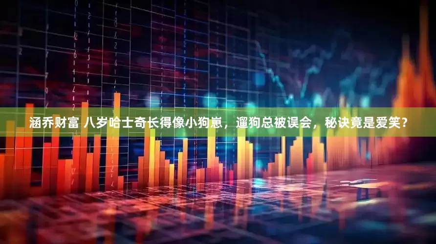 涵乔财富 八岁哈士奇长得像小狗崽，遛狗总被误会，秘诀竟是爱笑？
