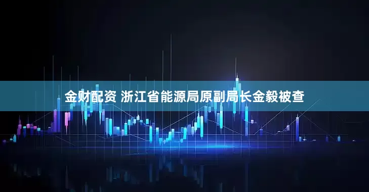 金财配资 浙江省能源局原副局长金毅被查