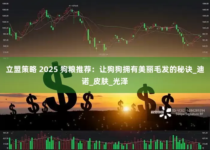 立盟策略 2025 狗粮推荐：让狗狗拥有美丽毛发的秘诀_迪诺_皮肤_光泽