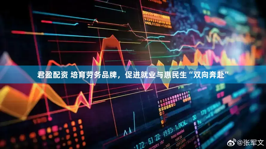 君盈配资 培育劳务品牌，促进就业与惠民生“双向奔赴”