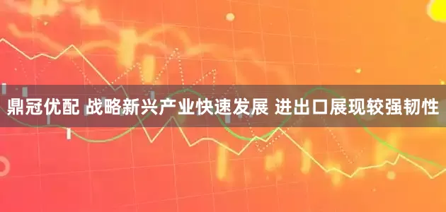 鼎冠优配 战略新兴产业快速发展 进出口展现较强韧性