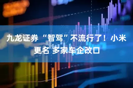 九龙证券 “智驾”不流行了！小米更名 多家车企改口