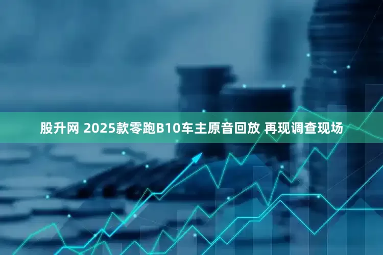 股升网 2025款零跑B10车主原音回放 再现调查现场