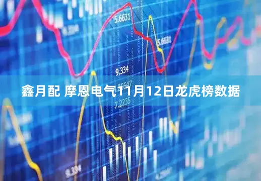 鑫月配 摩恩电气11月12日龙虎榜数据