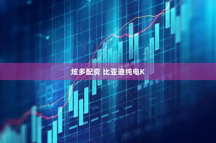 炫多配资 比亚迪纯电K